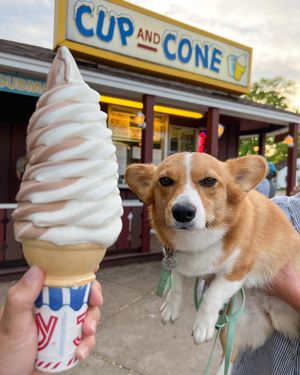 Image post by @ziggy_thecorg on Instagram