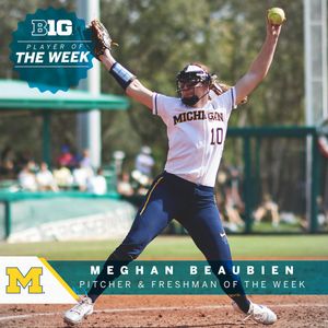 Image post by @B1Gsoftball on Twitter
