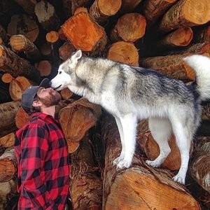 Image post by @theironhorsehotel on Instagram