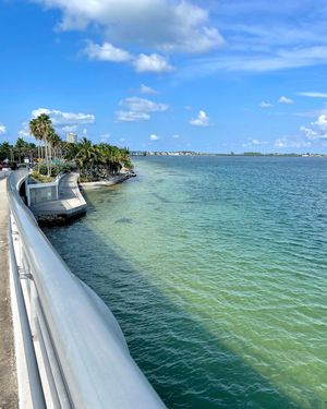 Image post by @visitsarasotacounty on Instagram