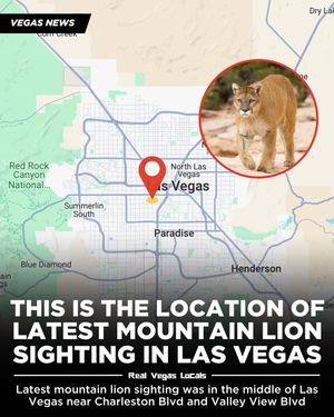 Image post by @realvegaslocals on Instagram
