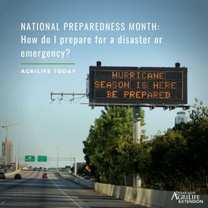 Image post by @txextension on Instagram