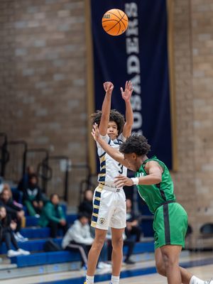 Image post by @calicamera on Instagram