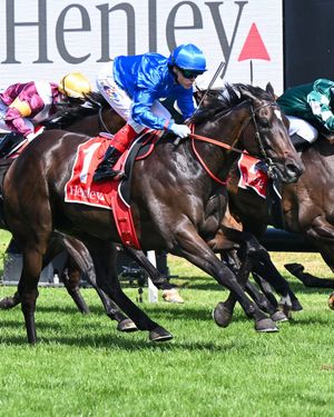Image post by @godolphin on Instagram