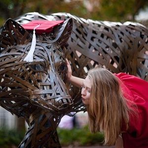 Image post by @ncstatecals on Instagram
