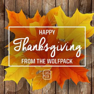 Image post by @packvball on Instagram