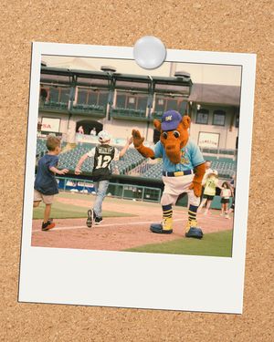 Image post by @biscuitbaseball on Instagram