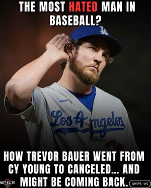 Image post by @netelitebaseball on Instagram