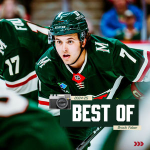 Image post by @minnesotawild on Instagram
