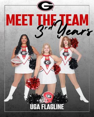 Image post by @ugaflagline on Instagram