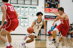 Image post by @sfaskacreative on Instagram