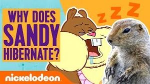 Video post by @nickelodeon on YouTube