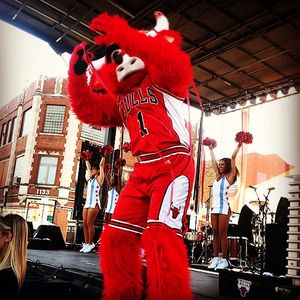 Image post by @bennythebull on Instagram