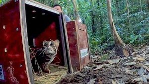 Video post by @bbcearth on YouTube