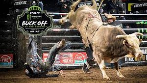 Video post by @pbr on YouTube