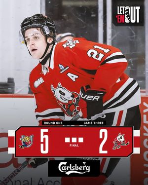 Image post by @ohlicedogs on Instagram