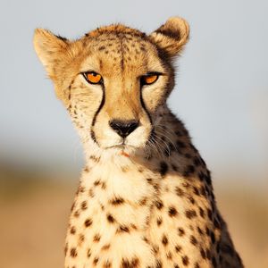 Image post by @discovery on Instagram