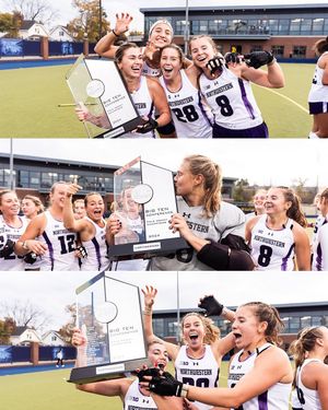 Image post by @nufhcats on Instagram