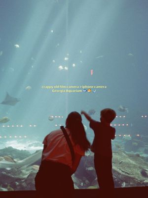 Image post by @chandlerawilliams on Instagram