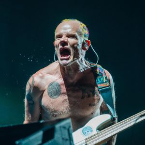 Image post by @petcopark on Instagram