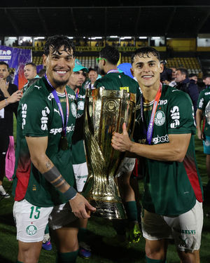 Image post by @palmeiras on Instagram