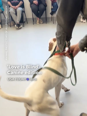 Video post by @usatoday on TikTok