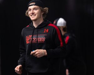 Image post by @goicehogs on Twitter
