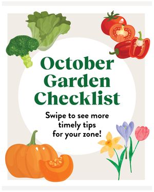 Image post by @burpeegardening on Instagram