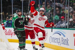 Image post by @DetroitRedWings on Twitter