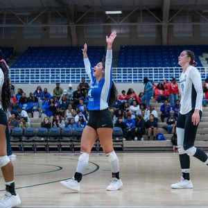 Image post by @tsutigersvb on Instagram