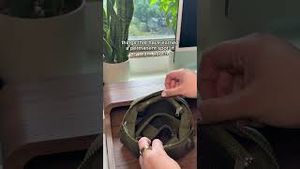 Video post by @claritin on YouTube