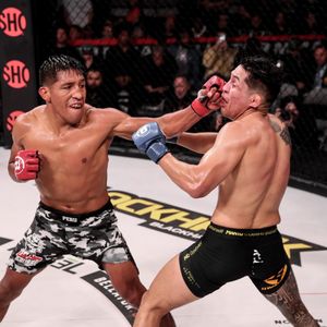 Image post by @bellatormma on Instagram