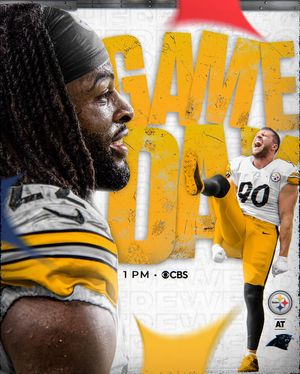 Image post by @steelers on Instagram