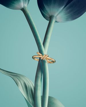 Image post by @tiffanyandco on Instagram