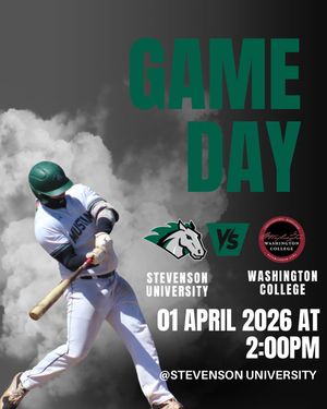 Image post by @stevensonbsb on Instagram