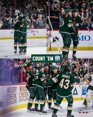 Image post by @minnesotawild on Instagram