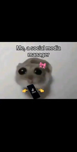 Image post by @hyundaiusa on TikTok