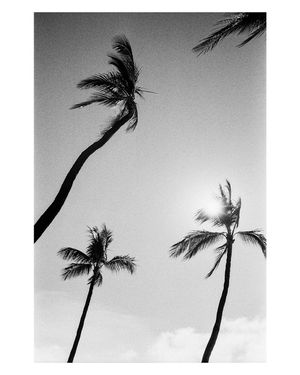 Image post by @camispeaking on Instagram