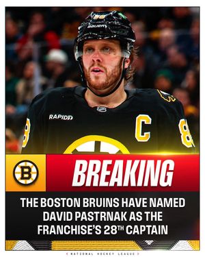 Video post by @nhl on TikTok