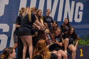 Image post by @cmu_swimdive on Instagram