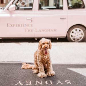 Image post by @langhamsydney on Instagram