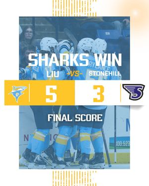 Image post by @liumhockey on Instagram