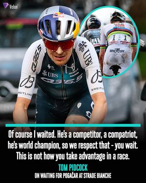 Image post by @veloncc on Instagram