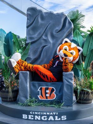 Image post by @bengals on Instagram