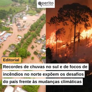 Image post by @operitoambiental on Instagram
