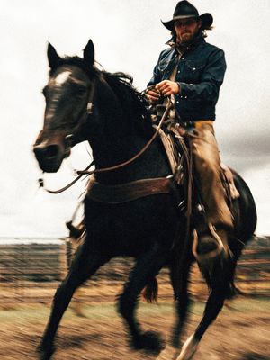 Image post by @diamondcrossranch on Instagram