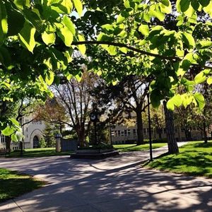 Image post by @kansasstateuniversity on Instagram