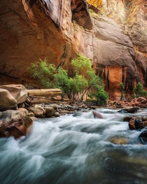 Image post by @nationalparkscollective on Instagram