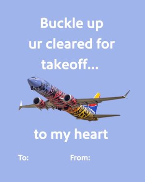 Video post by @southwestair on TikTok