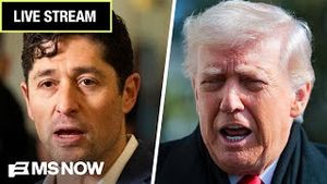 Video post by @msnbc on YouTube